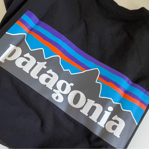 NWOT Patagonia Men's P-6 Logo Responsibili-Tee® - Picture 2 of 8